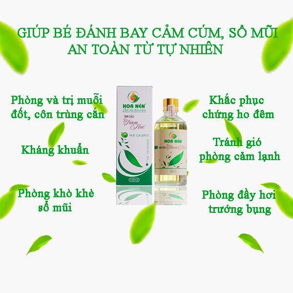Tinh dầu tràm bi lăn Hoa Nén