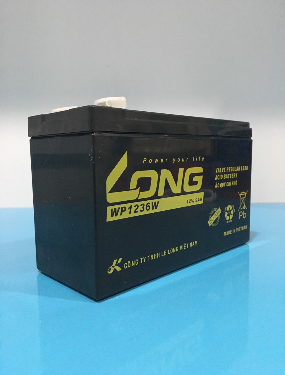 ẮC QUY KÍN KHÍ (VRLA AGM) LONG 12V-9Ah, WP1236W
