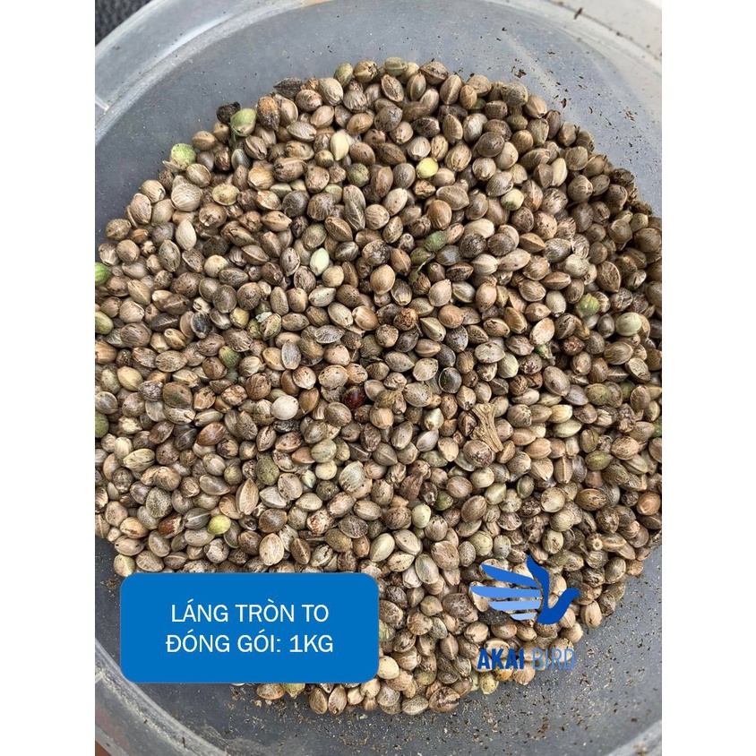 [1KG] Hạt Láng Tròn Dành Cho Vẹt, Hamster, Sóc, Chim Cảnh...