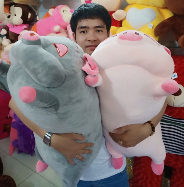 GẤU BÔNG HEO ĐÁNG YÊU