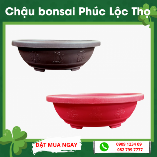 Combo 3 chậu Chậu bonsai 30 Vườn Sài Gòn - Vuon Sai Gon