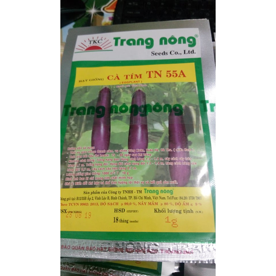 1G - Hạt Giống Cà Tím