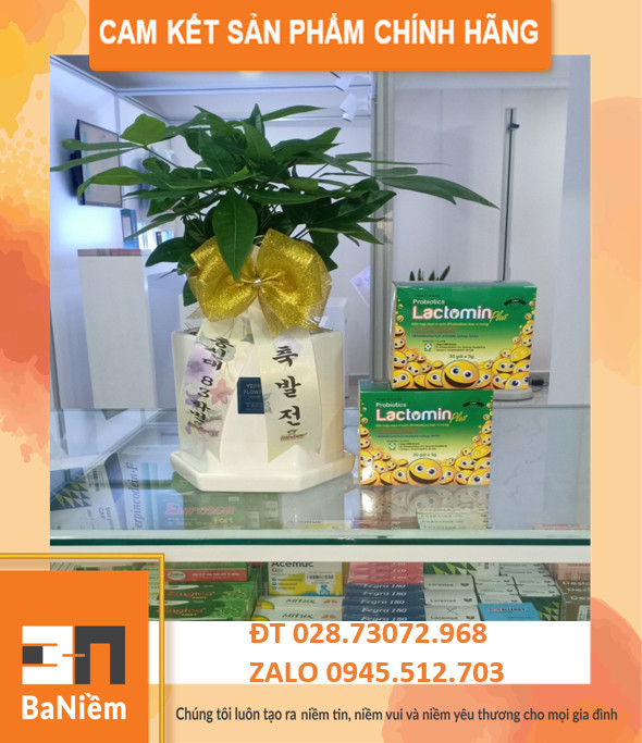 LACTOMIN PLUS