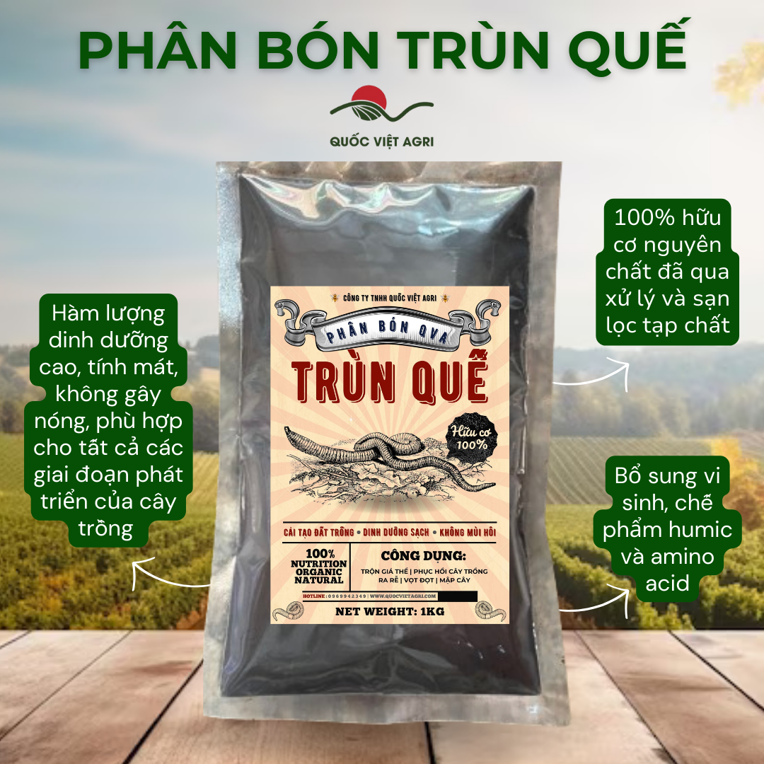 Phân trùn quế nguyên chất qva - 100% hữu cơ -