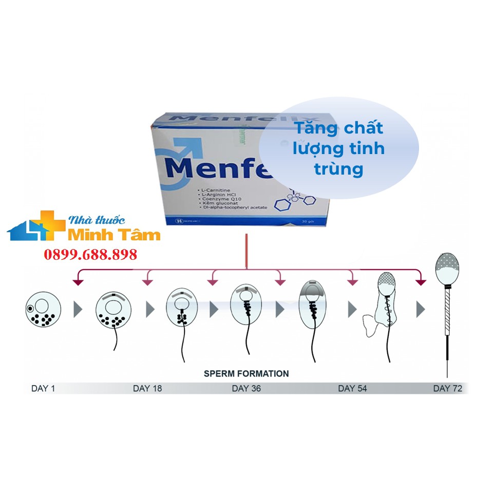 MENFELIX dành cho phái mạnh