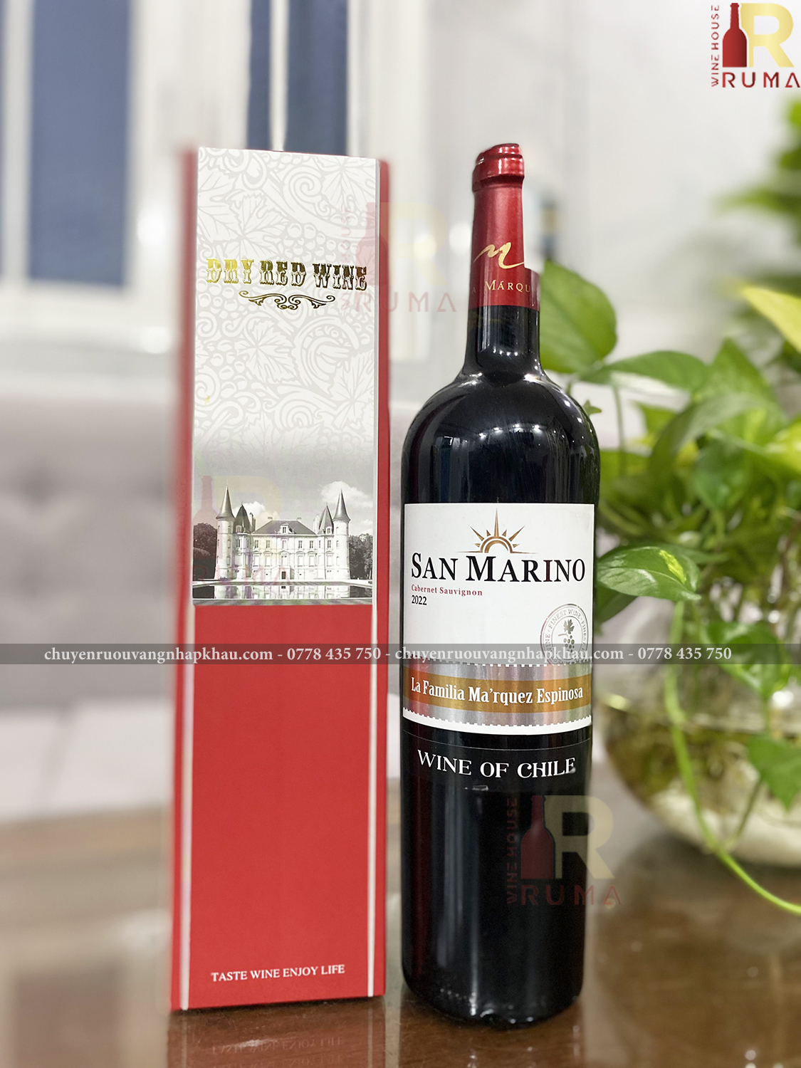 Vang Chile San Marino nhâp khẩu