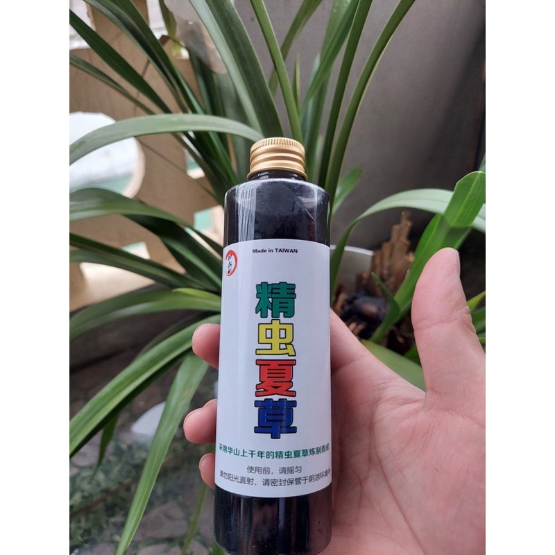 Tinh mùi câu cá