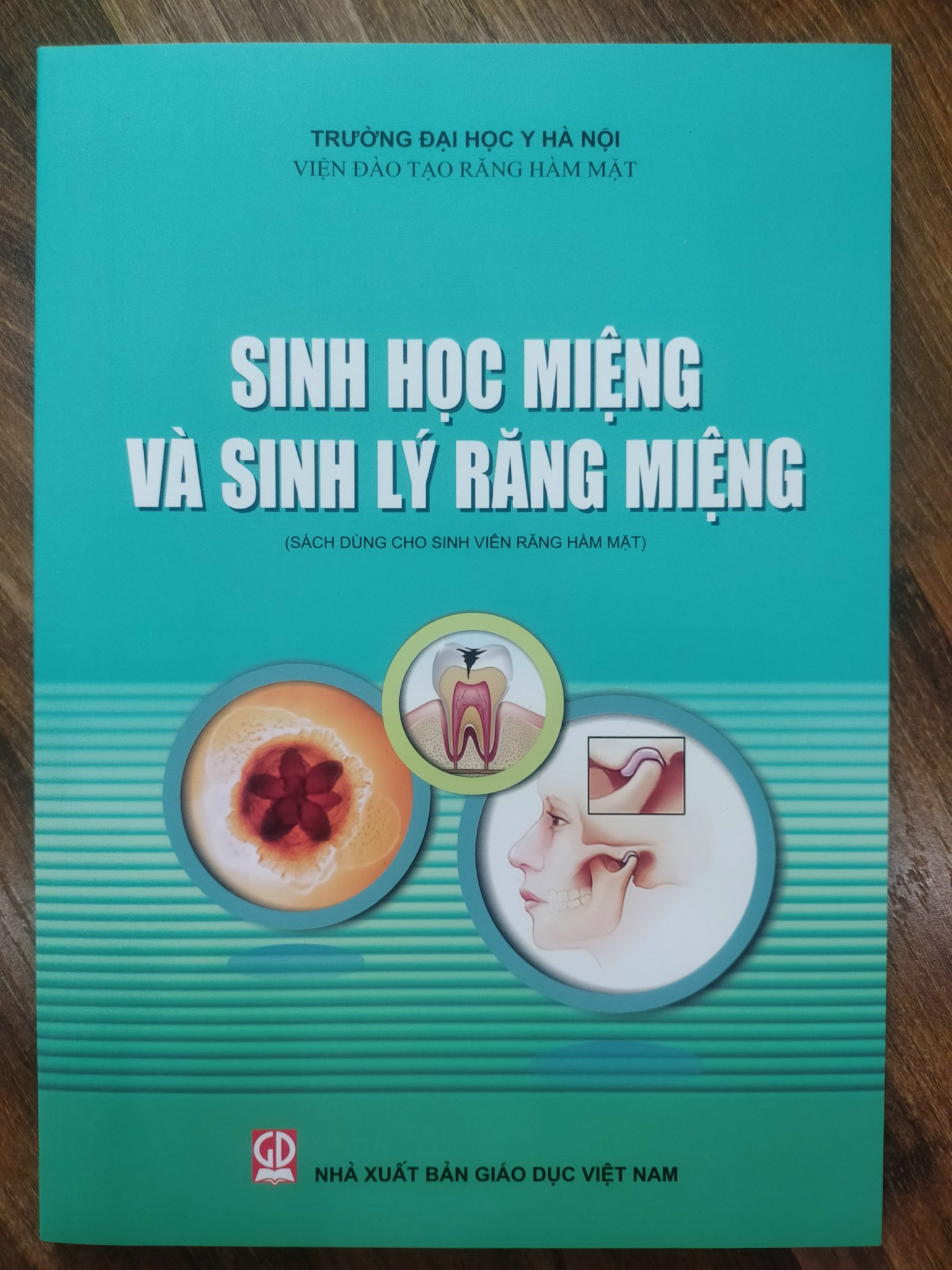 Sách - Sinh Học Miệng Và Sinh Lý Răng Miệng Dùng Cho Sinh Răng Hàm Mặt (DN)
