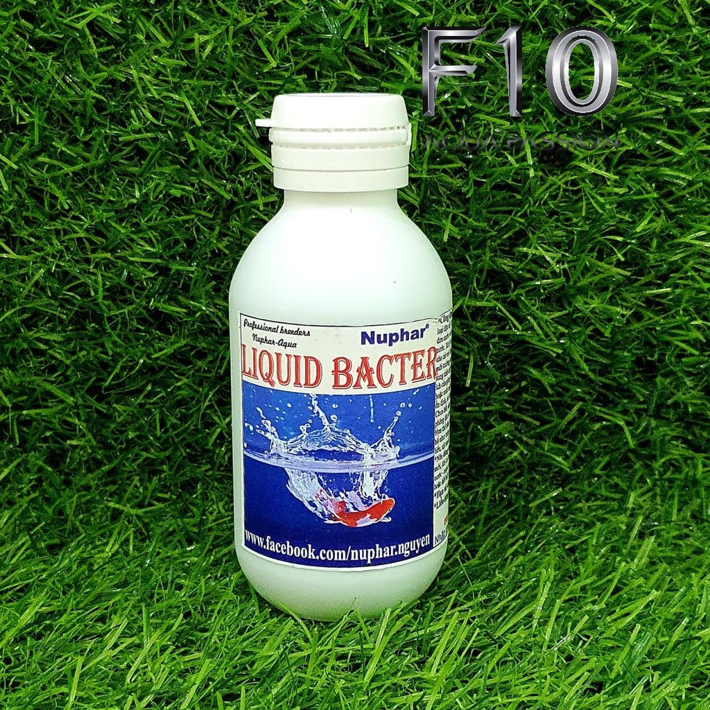 Chống sốc nước cho cá cảnh liquid bacter - nuphar