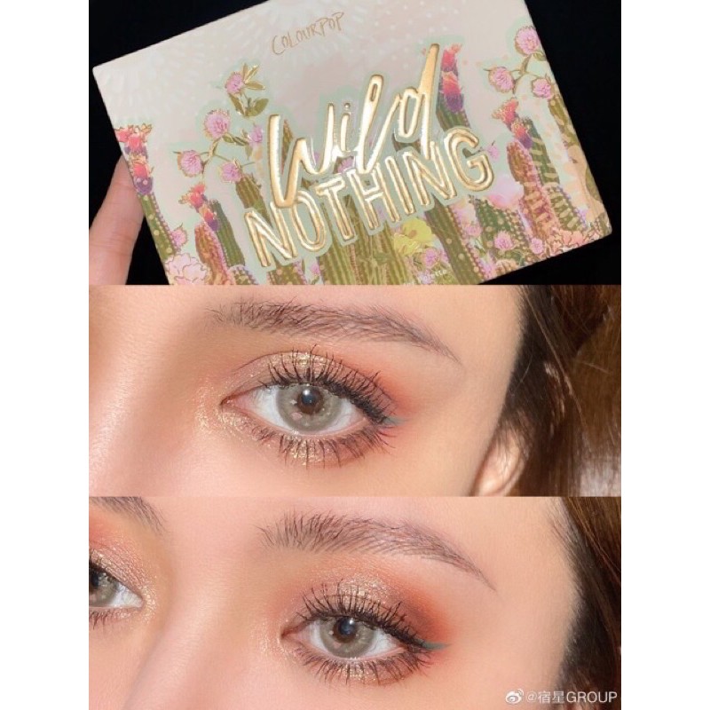 Bảng phấn mắt Colourpop Wild Nothing