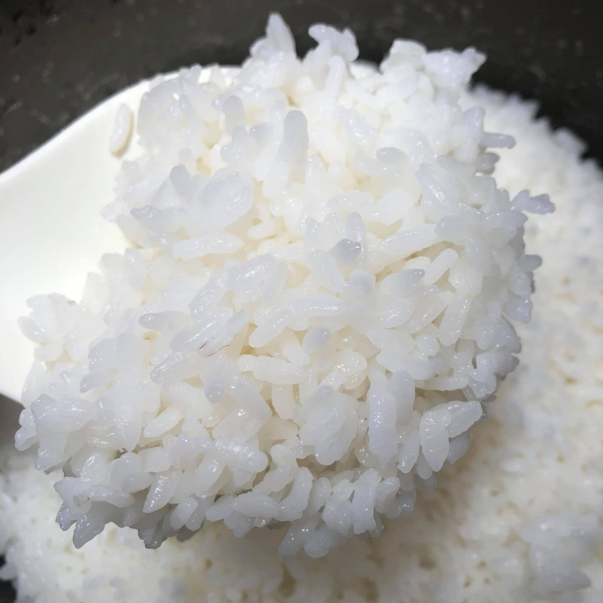 Gạo séng cù hạt tròn đặc sản Điện biên 10kg