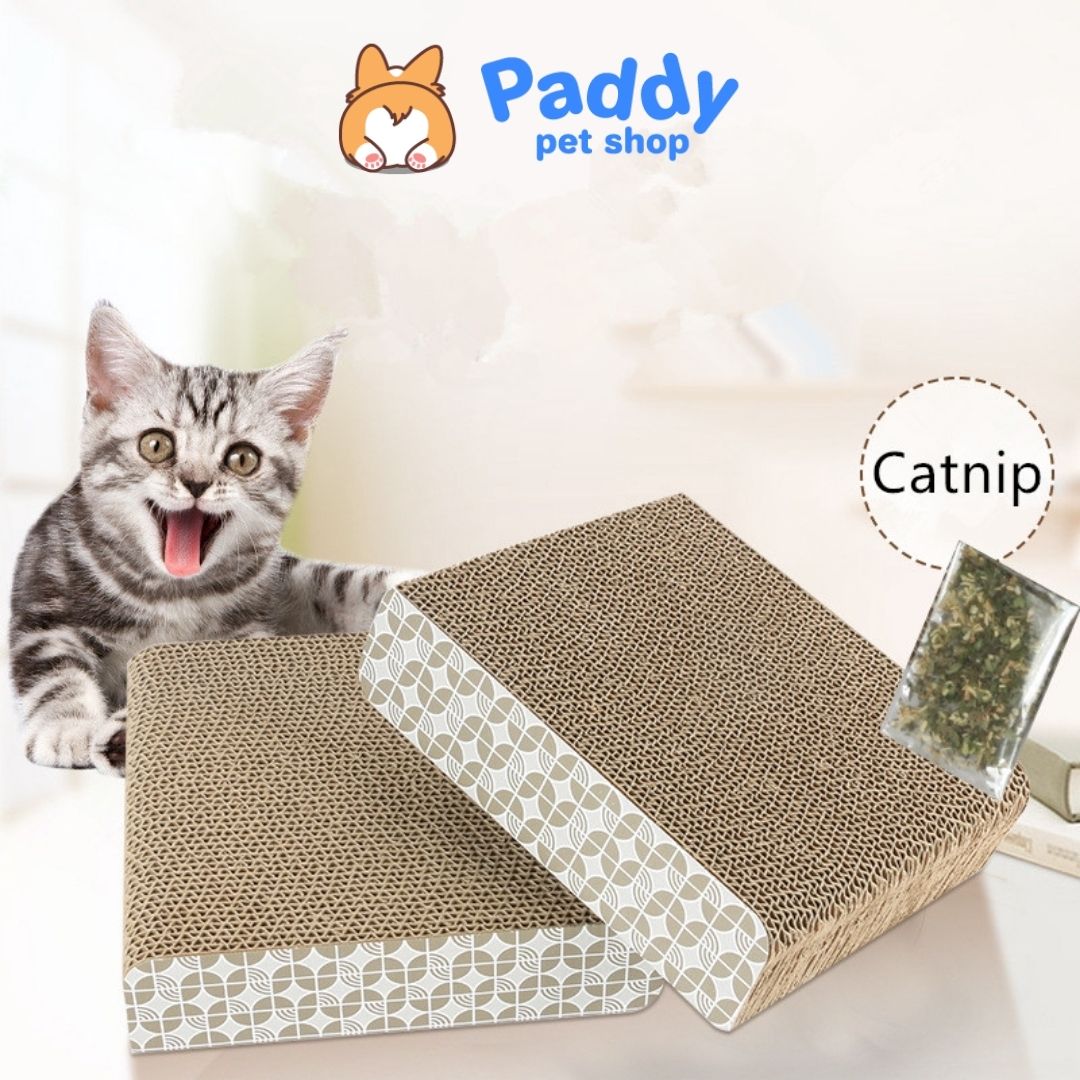 Bàn Cào Móng Mèo Giấy (Tặng Cỏ Mèo Catnip)
