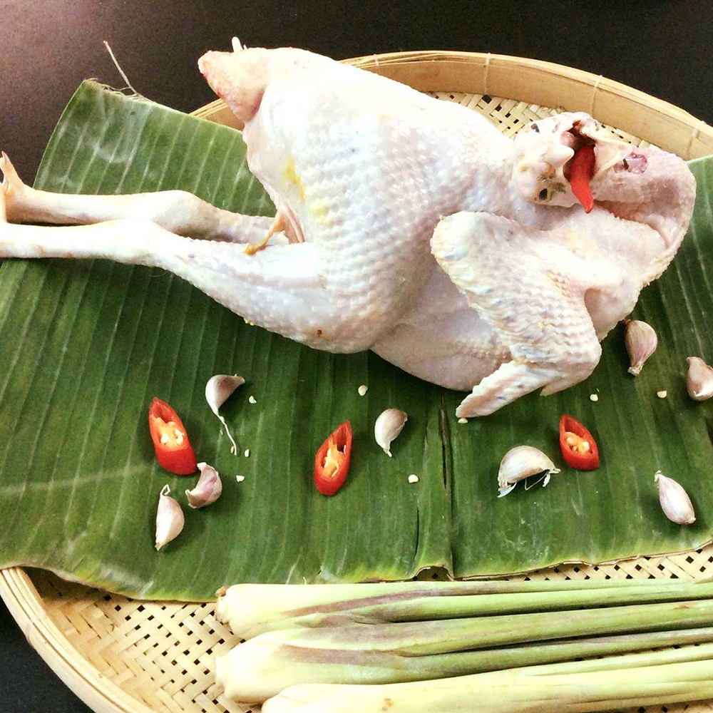 Gà ta Gò Công 1.1 - 1.3kg (con)