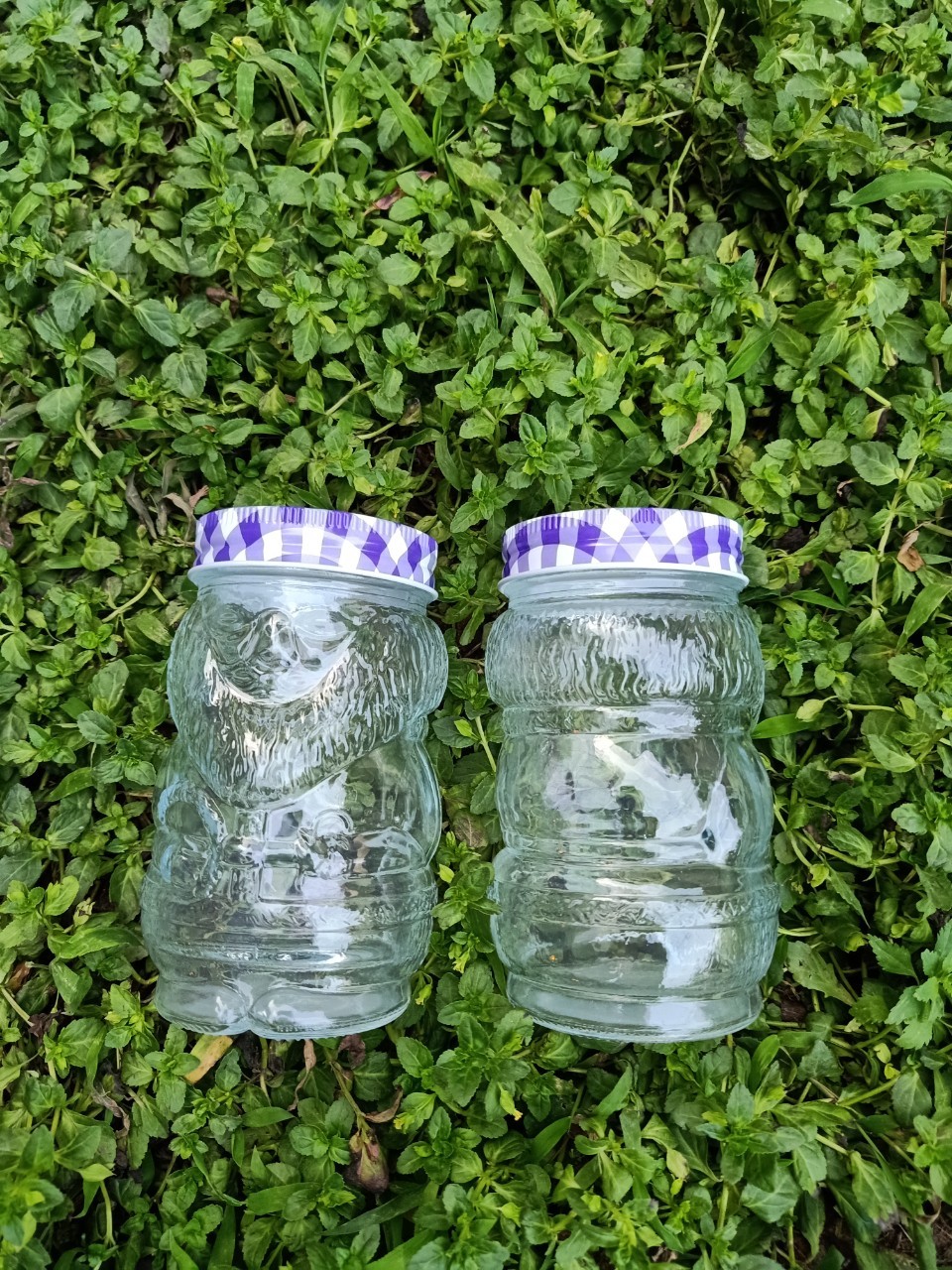 Bình nước,ly nước thủy tinh 380ml/450ml