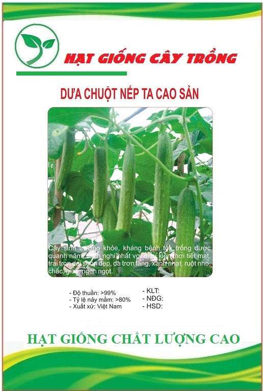 Hạt giống dưa chuột nếp ta cao sản f1 ct79 – gói 10hạt