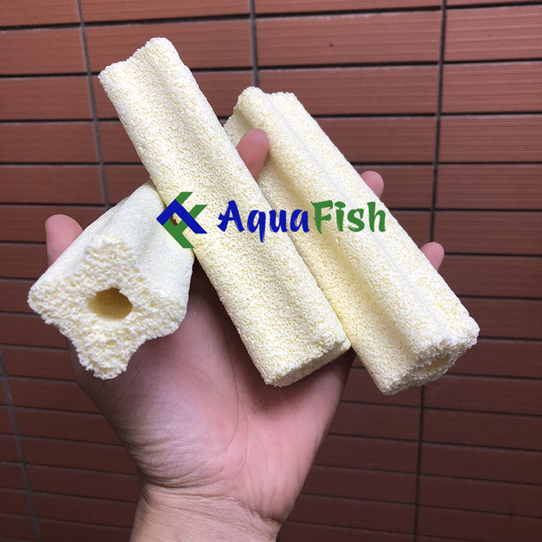 [HOÀN TIỀN 10%]Combo 10 Sứ Thanh Hoa Mai Giúp Lọc Nước Bể Cá, Hồ Cá
