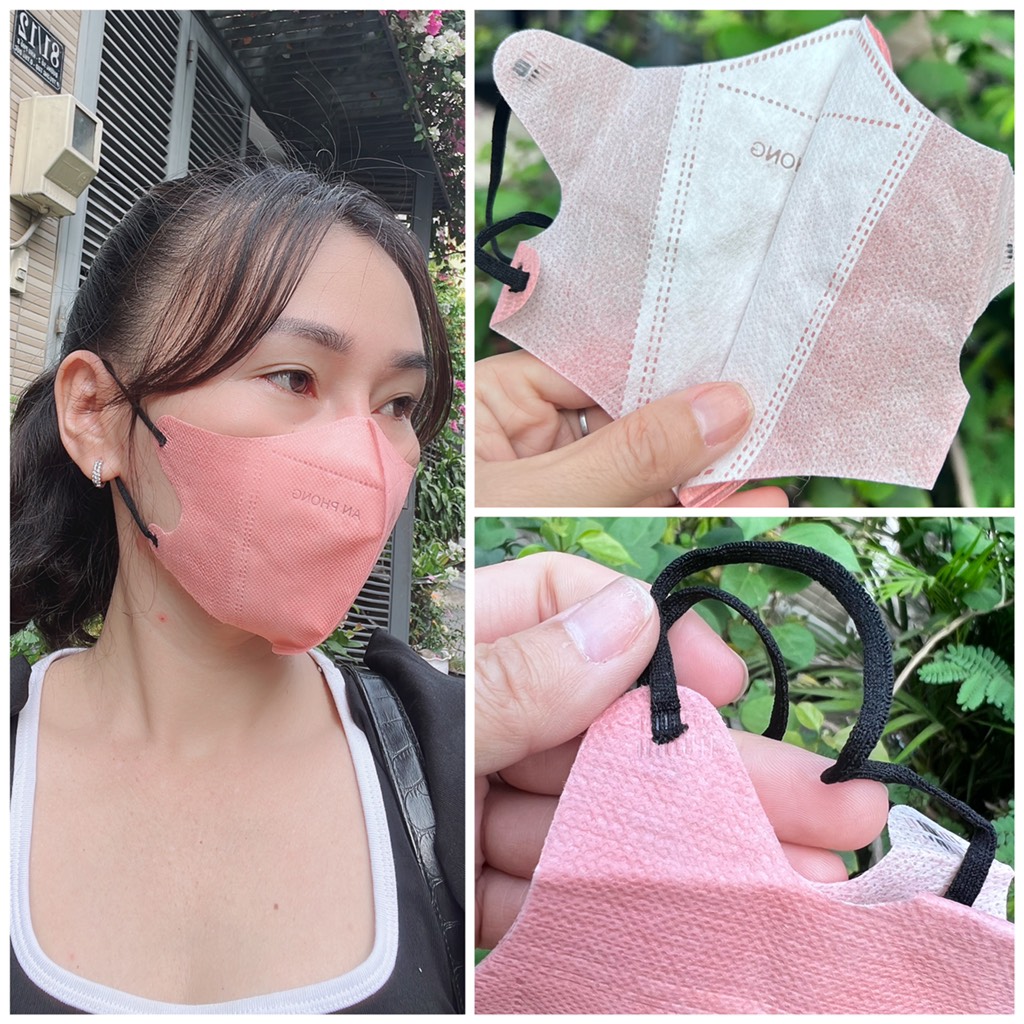 Túi 10 cái Khẩu trang 5D An Phong
