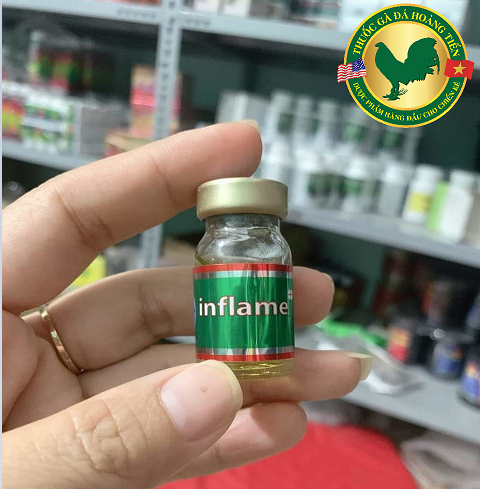 INFLAME 2 lọ 5ml dùng cho gà đá bị tang nặng