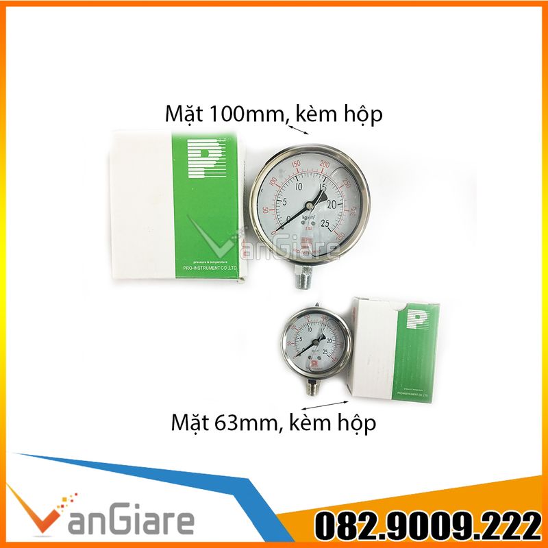 Đồng hồ đo áp suất Pro Instrument mặt 63mm (Đủ size)