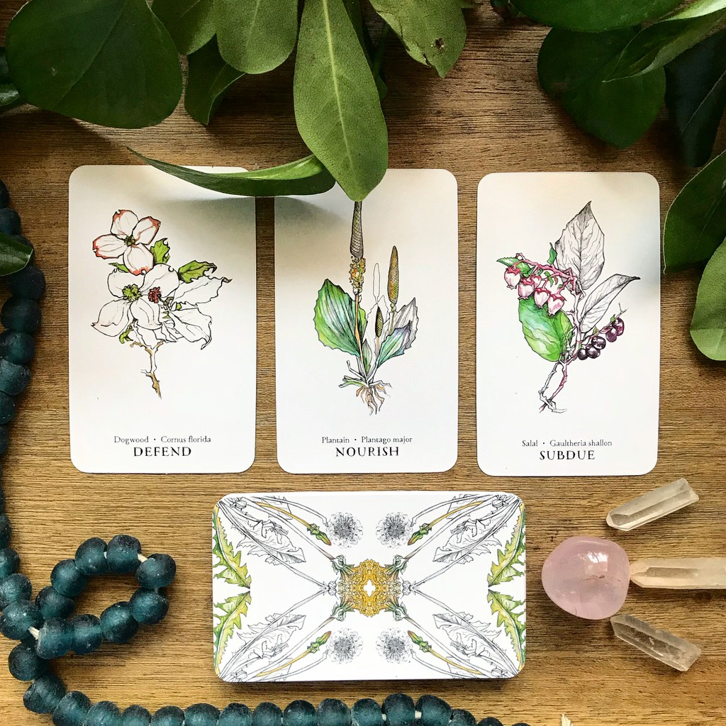 Bài Hedgewitch Botanical Oracle