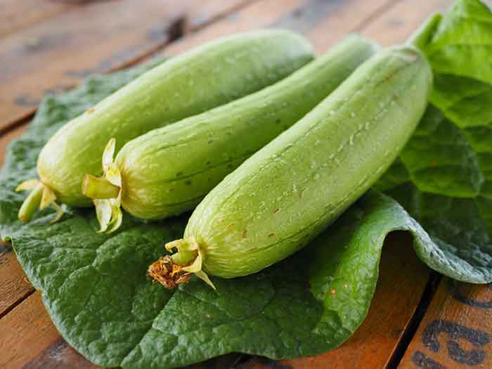 Hạt giống mướp hương thái lan