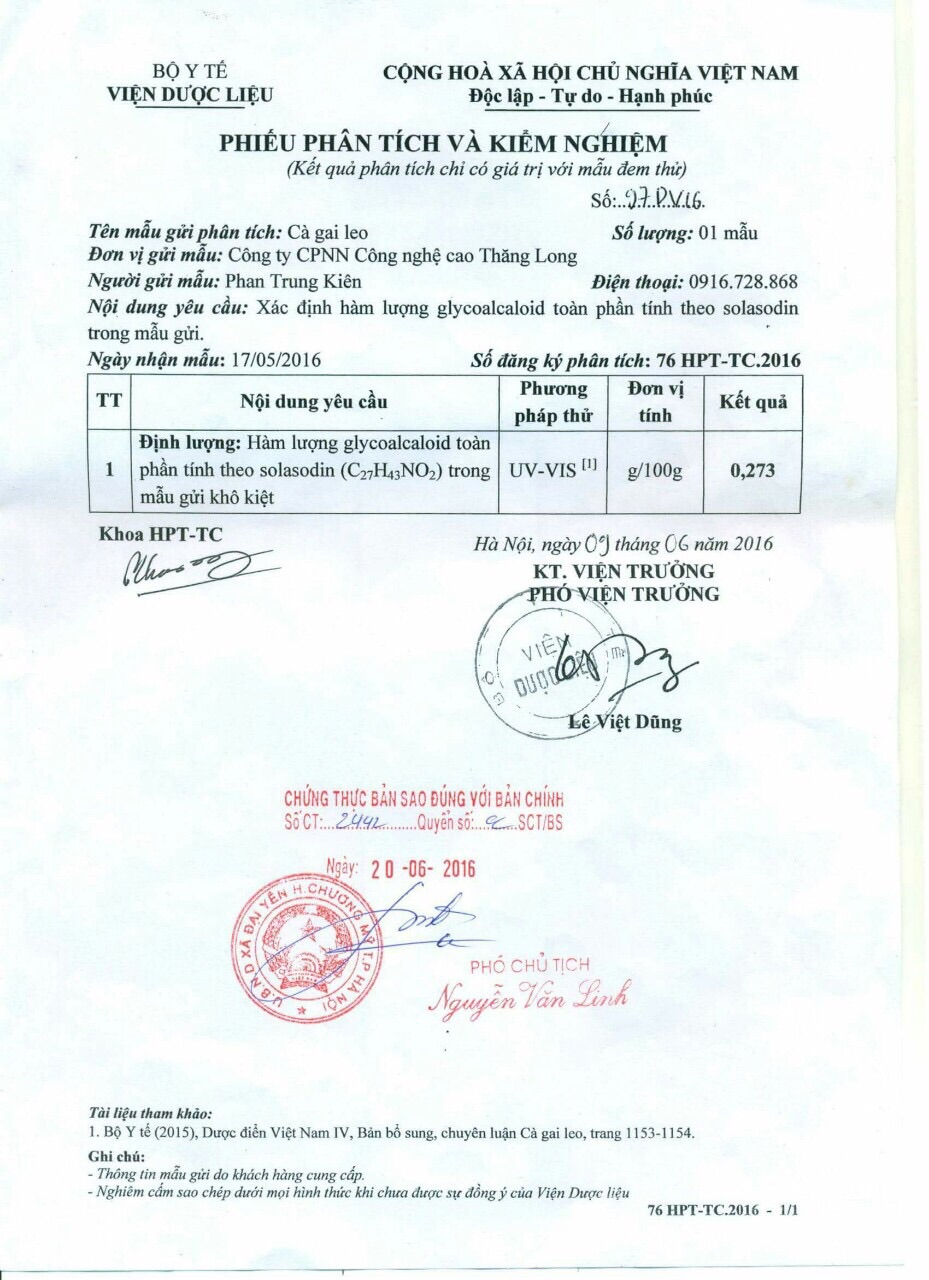 [HCM]1kg Trà túi lọc Cà Gai SADU