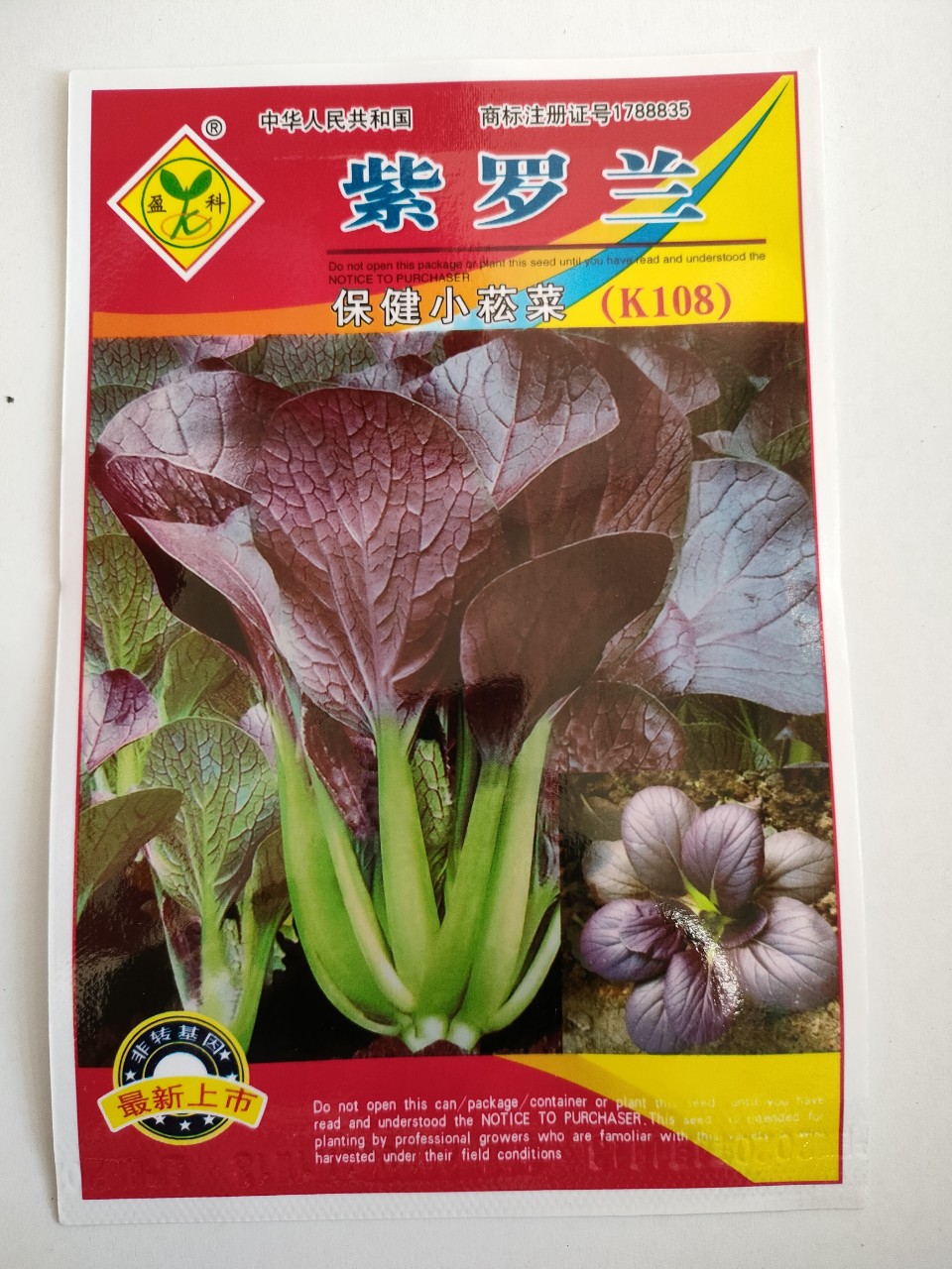 Hạt giống cải thìa Pakchoi tím nhập khẩu