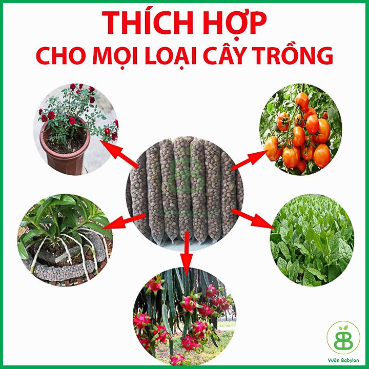 Phân Dê Túi Lưới Cho Lan Đã Xử Lý  20cm