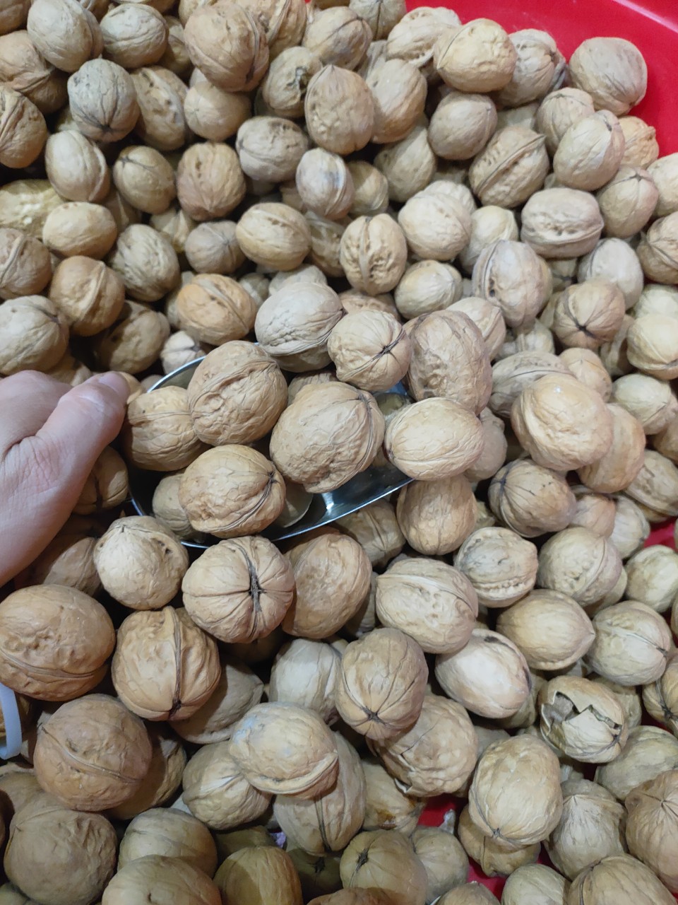 1 kg-500 gr Quả óc chó vỏ mỏng hàng nhập khẩu, (có loại đã tách nhân và loại còn vỏ)