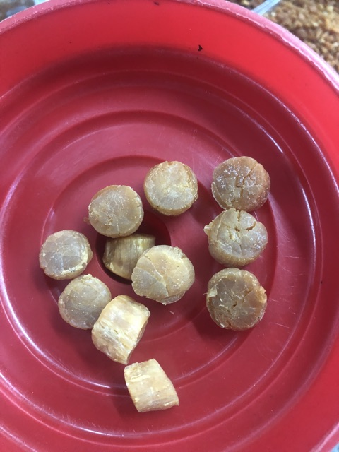 [HCM]Còi Sò Điệp Nhật ( Khô 100gr)