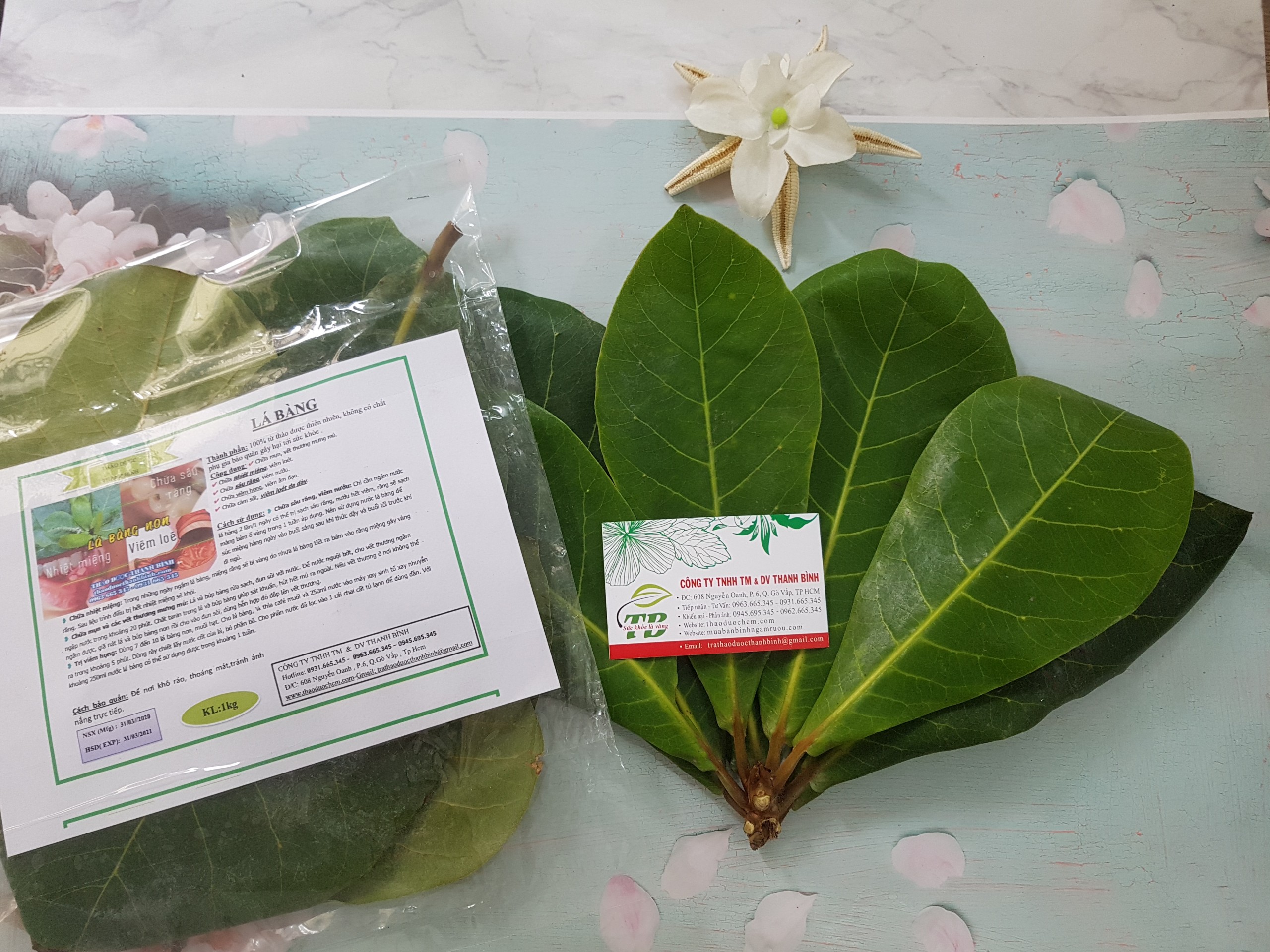 Lá Bàng  Tươi 1KG - Dược Liệu Thanh Bình