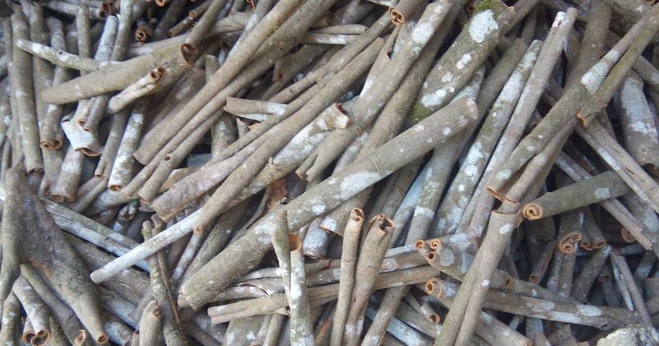 100gr Vỏ Quế Khô