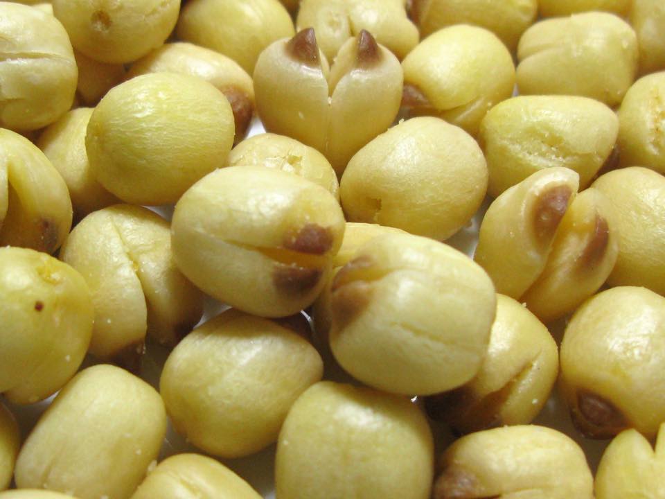 Hạt sen sấy dòn, ngon. 500gr