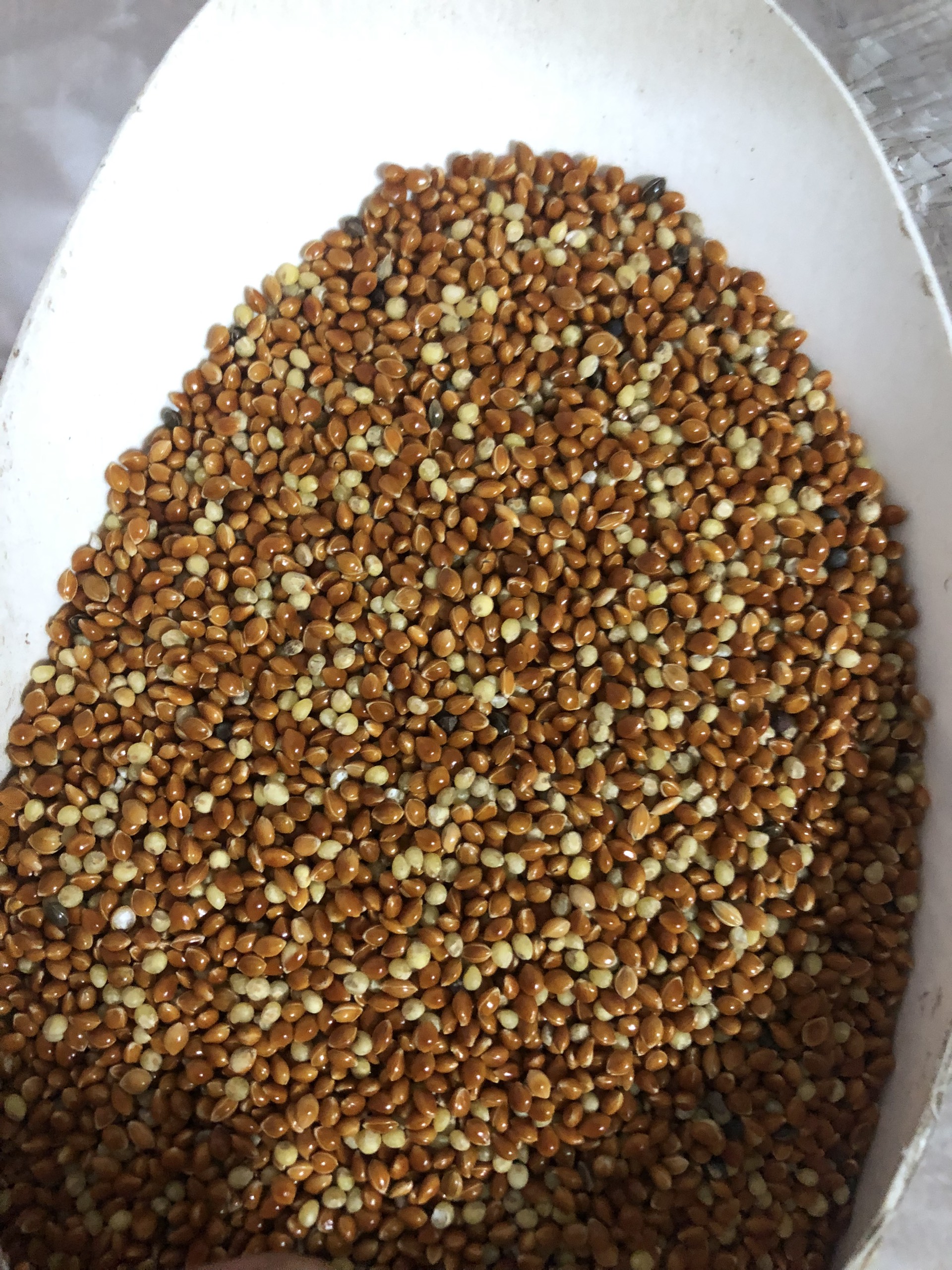 Kê đỏ bóng hạt lớn đóng gói 500g/1kg