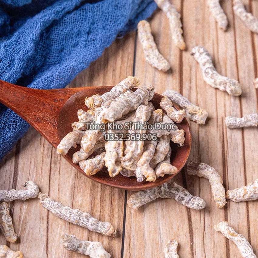 Bạch Cương Tằm 1kg