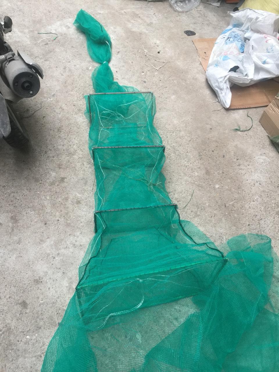 Đăng vét cá dớn bắt cá vây cá