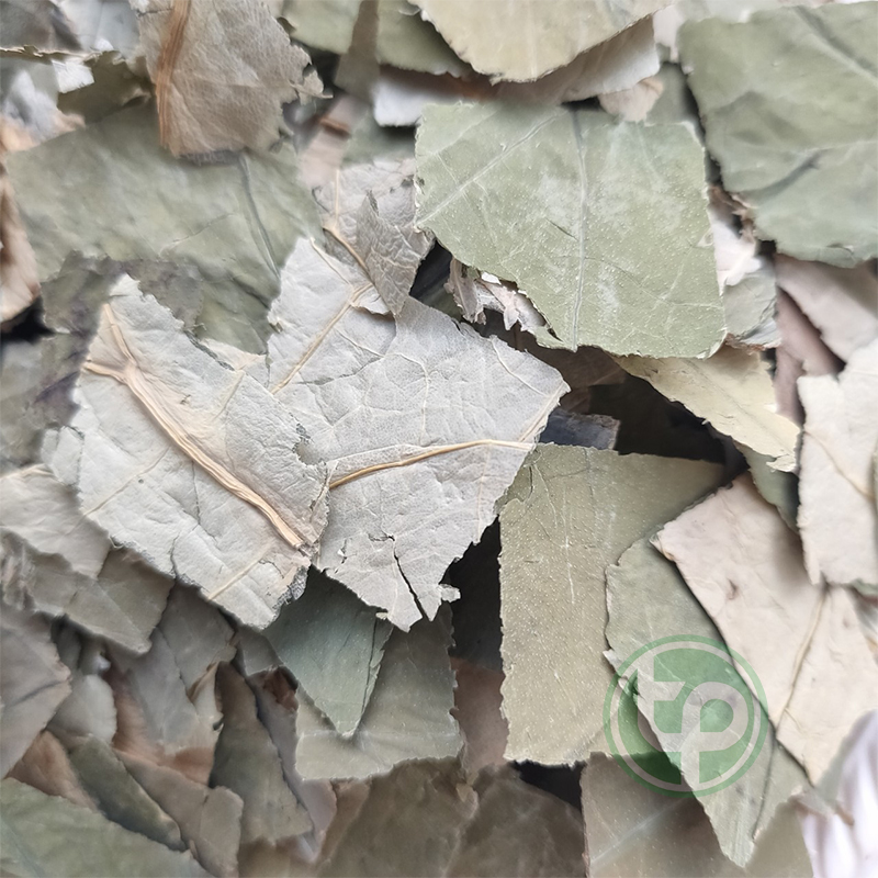 Lá sen sấy khô 500g - tấn phát