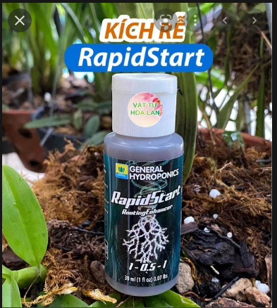 Siêu kích rễ General Hydroponics Rapid Start hàng chuẩn Mỹ lọ 10ml