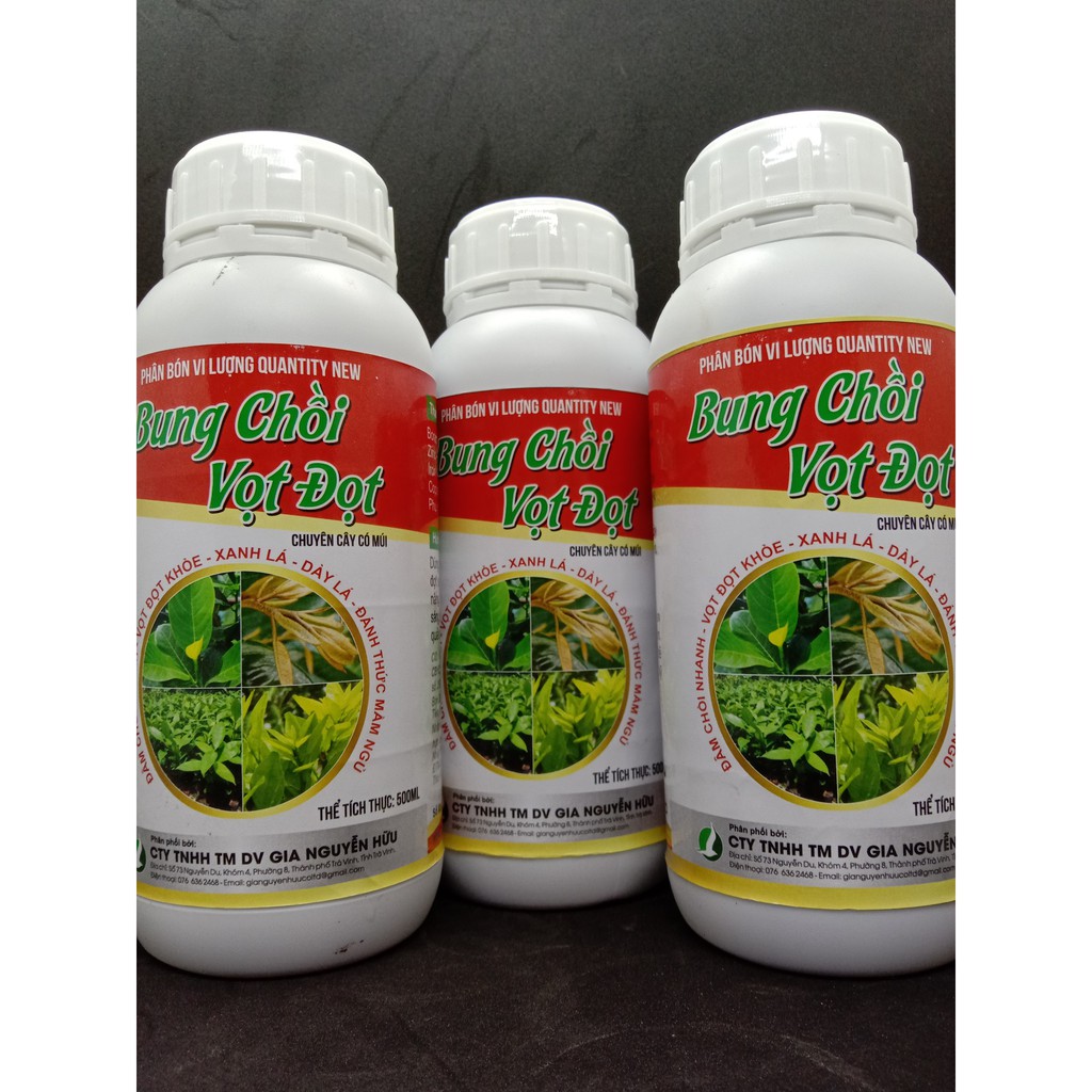 Bung chồi vọt đọt - chuyên cây có múi 500ML