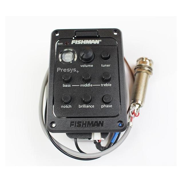EQ Guitar Fishman 301
