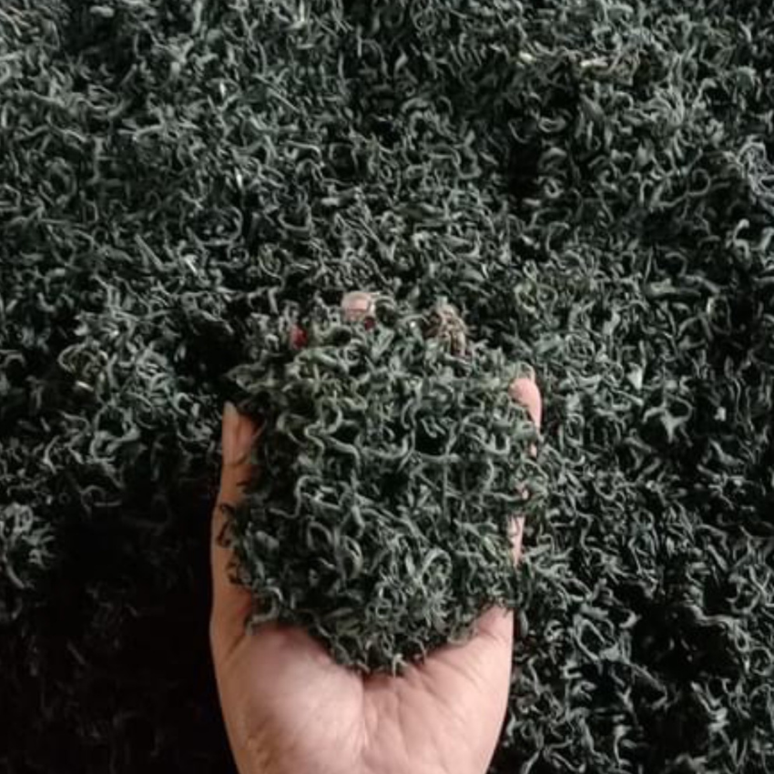 Trà xanh hảo hạng  Tư Quý( combo 2 gói 100g)