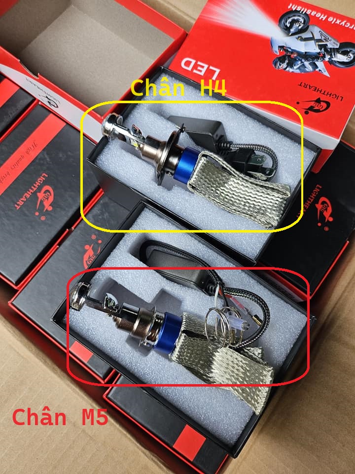 Đèn Led bi mini tí hon T8 chân M5,H4