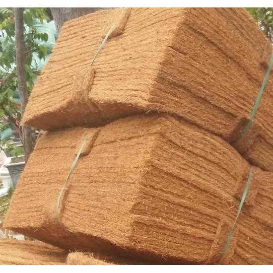 Thảm xơ dừa trồng lan 50 X 50 x 1cm