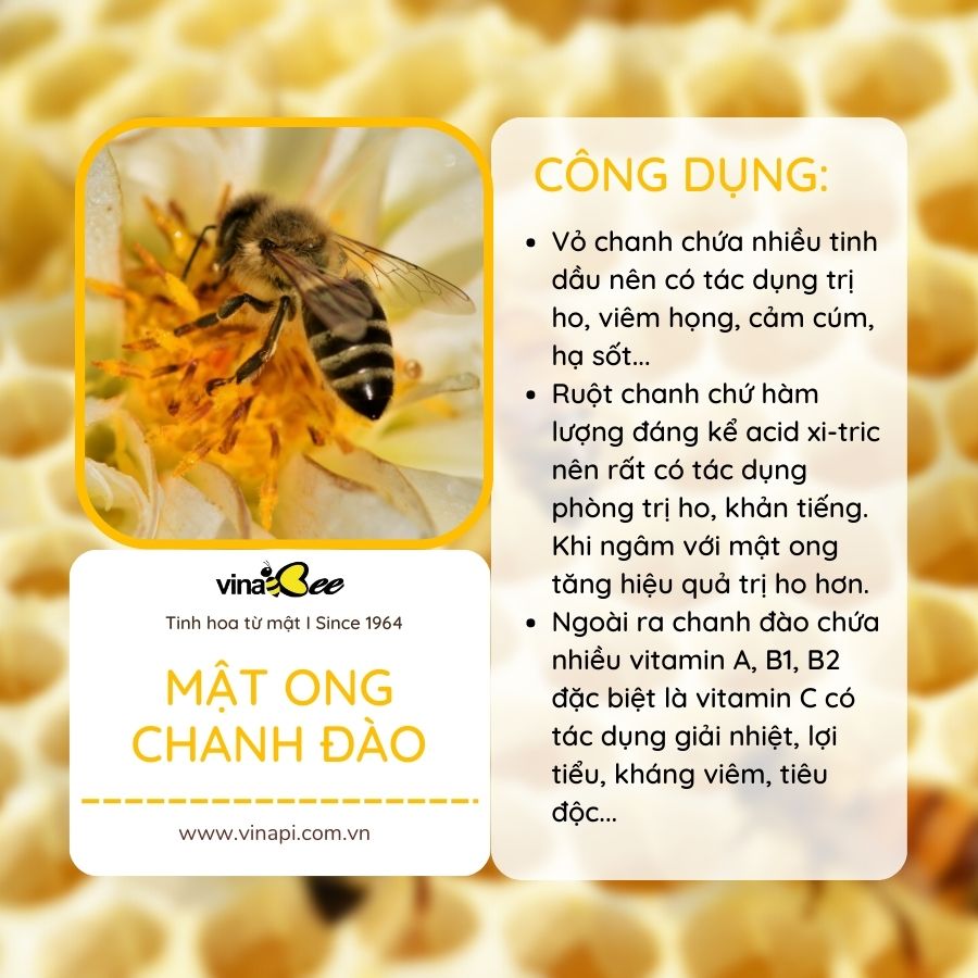 Mật ong chanh đào Vinabee 450g
