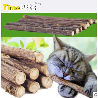 Que gỗ catnip bạc hà cho mèo gặm trắng răng