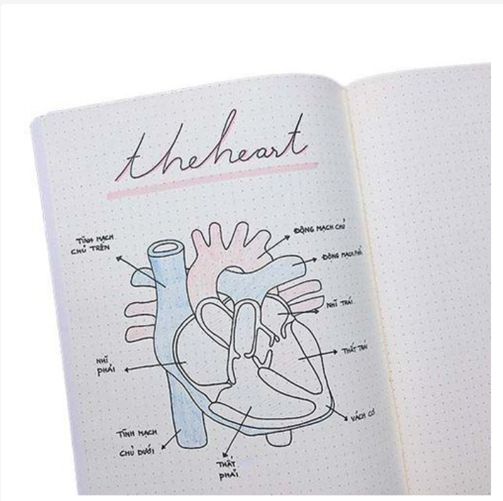 Vở Crabit Dotted Notebook - Vở kẻ chấm bi (Giấy ruột Dot) - Vàng chấm bi