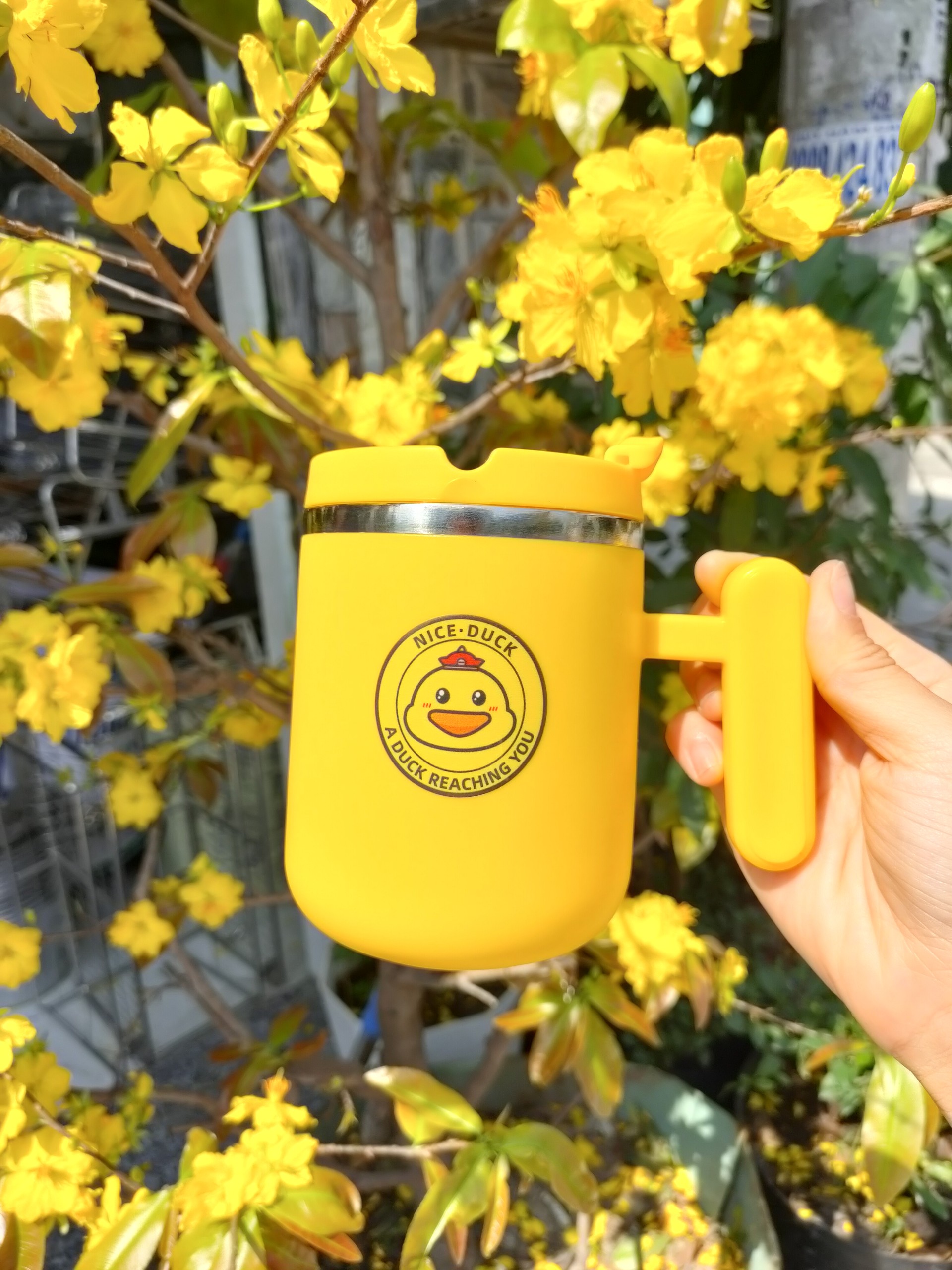 Ly Con Vịt Giữ Nhiệt, Đa Năng Đáng Yêu 450ml