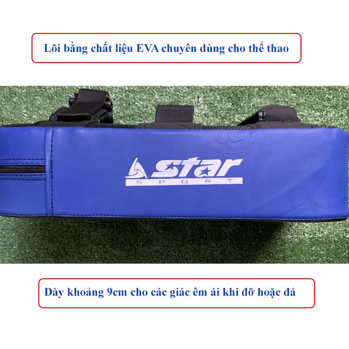 [HCM]Đích đỡ đích đấm tập võ thuật Vstar DV110 (1 cái)