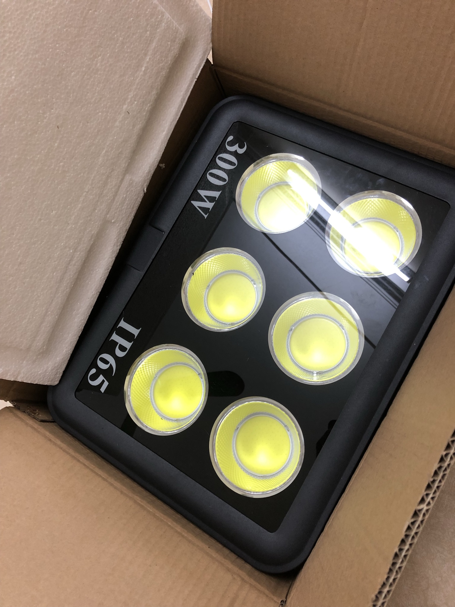 Đèn pha LED chiếu sâu (Pha cốc) 300W COB