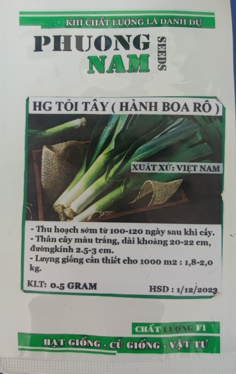 Hạt giống tỏi tây (Hành boa rô) 0,5gr